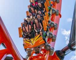 Busch Gardens Single Day Ticket